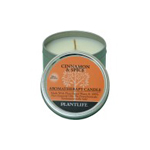 Review of Plantlife Candle - Cinnamon & Spice - 24 hr burn
